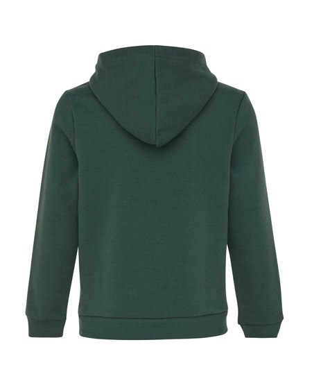 Mexx Colorblock hoody Dark Green Vert | 06DVJYWXN