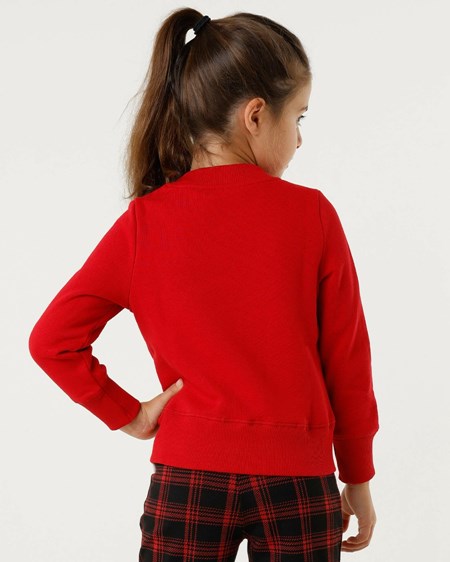 Mexx Crewneck sweater with artwork Red Rouge | 28DMCUVFT